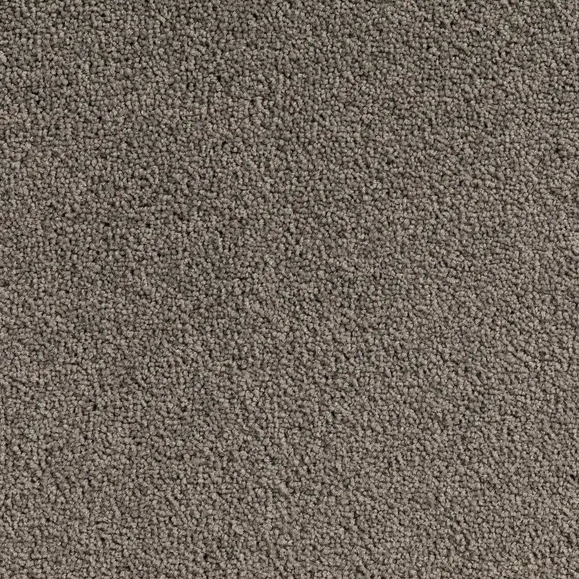 Crossley Birdi 3513x3513 300 ppi png