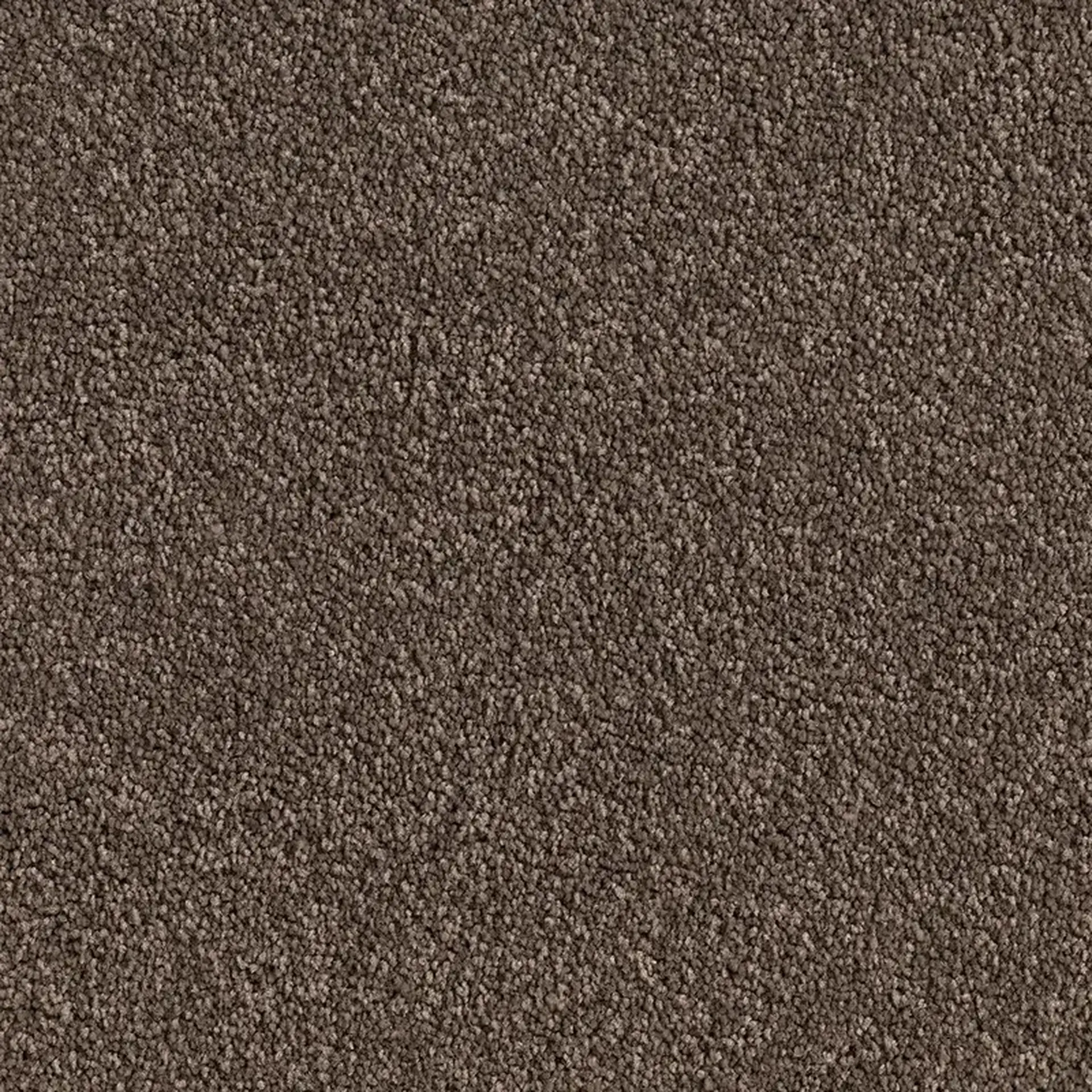 Crossley Cedar Plank 3513x3513 300 ppi png
