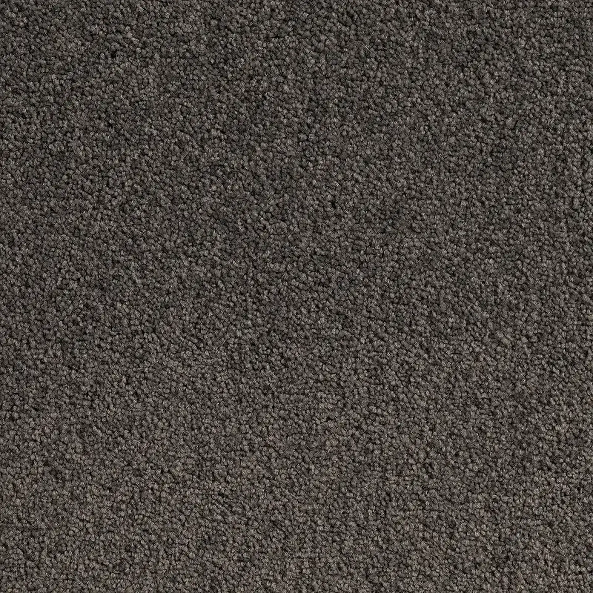 Crossley Mole Grey 3513x3513 300 ppi png