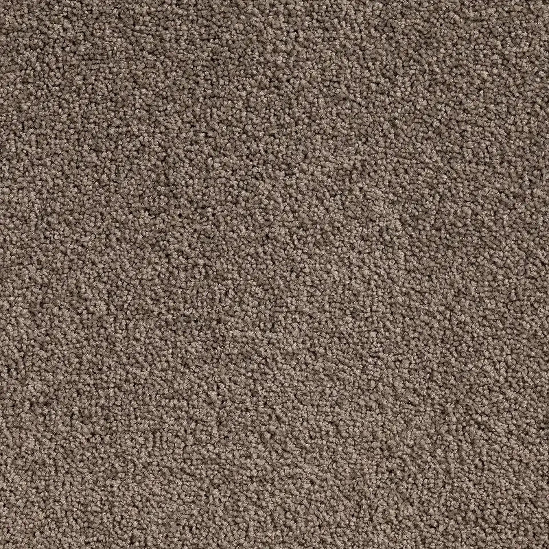 Crossley Nordica 3513x3513 300 ppi png