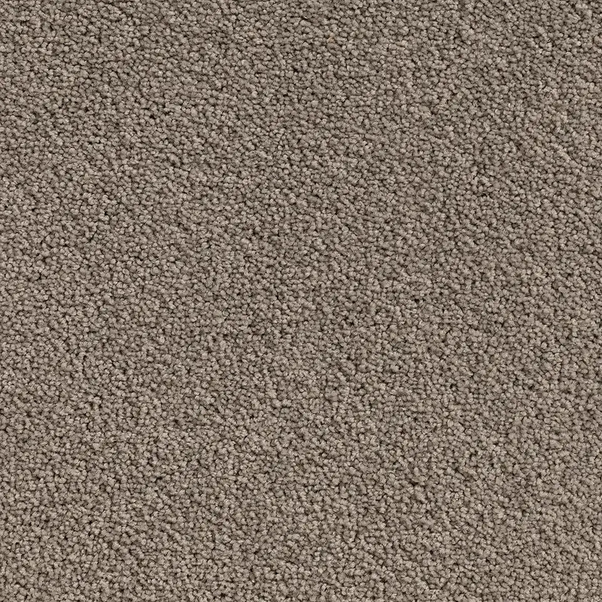 Crossley Zinia 3513x3513 300 ppi png