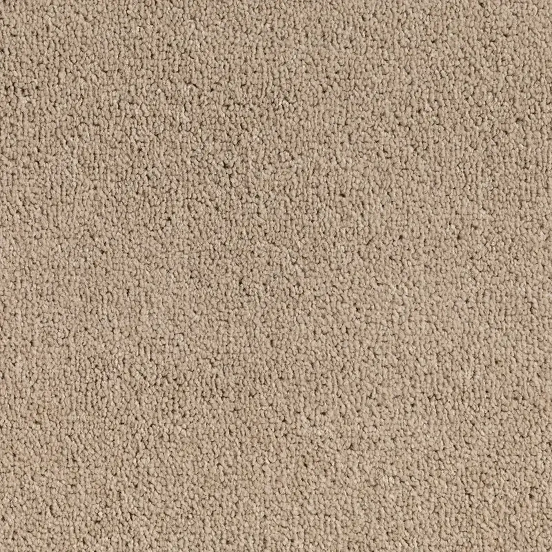 Hemisphere Elk 1200x1200 300 ppi png