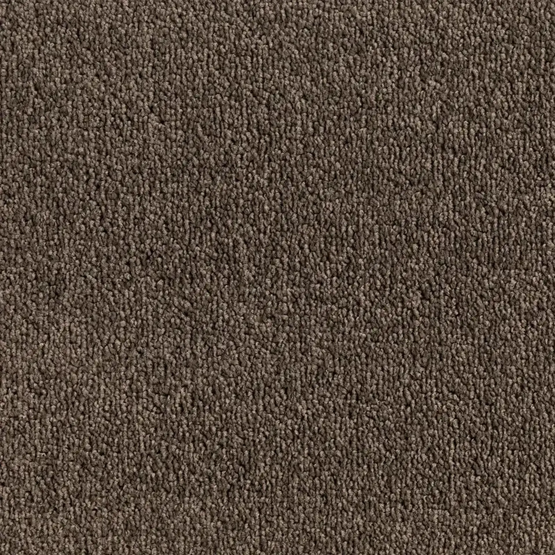 Hemisphere Espresso 1200x1200 300 ppi png