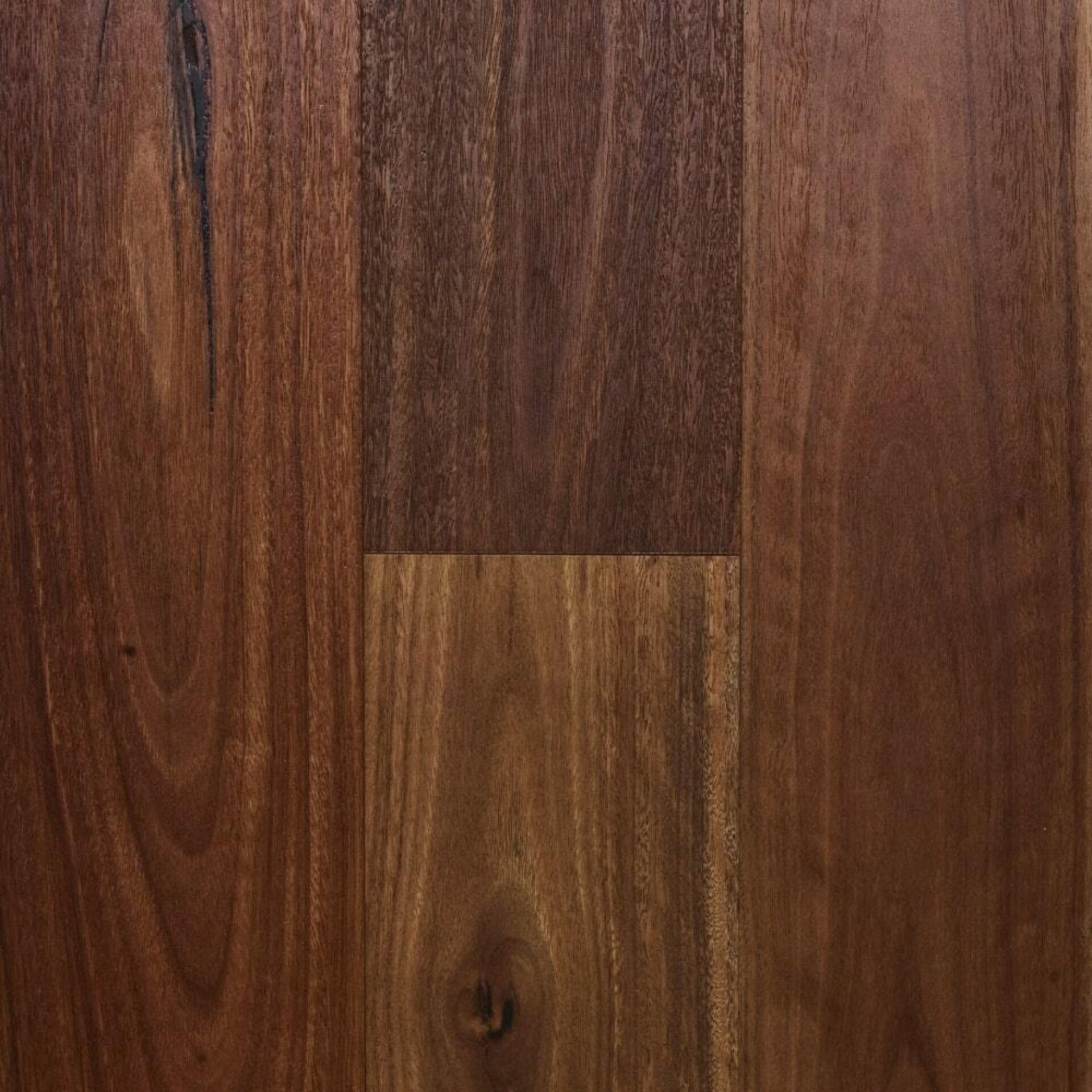 107 Hybrid Spotted Gum min