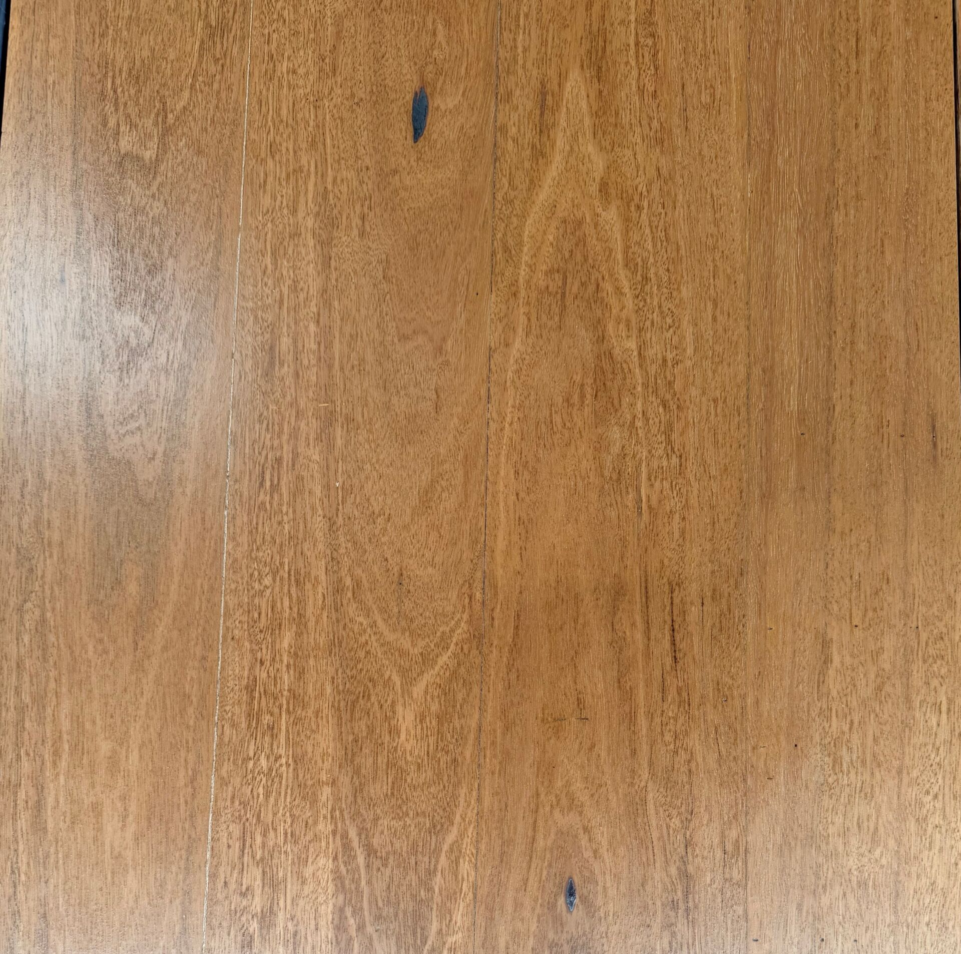 Gympie Messmate 2