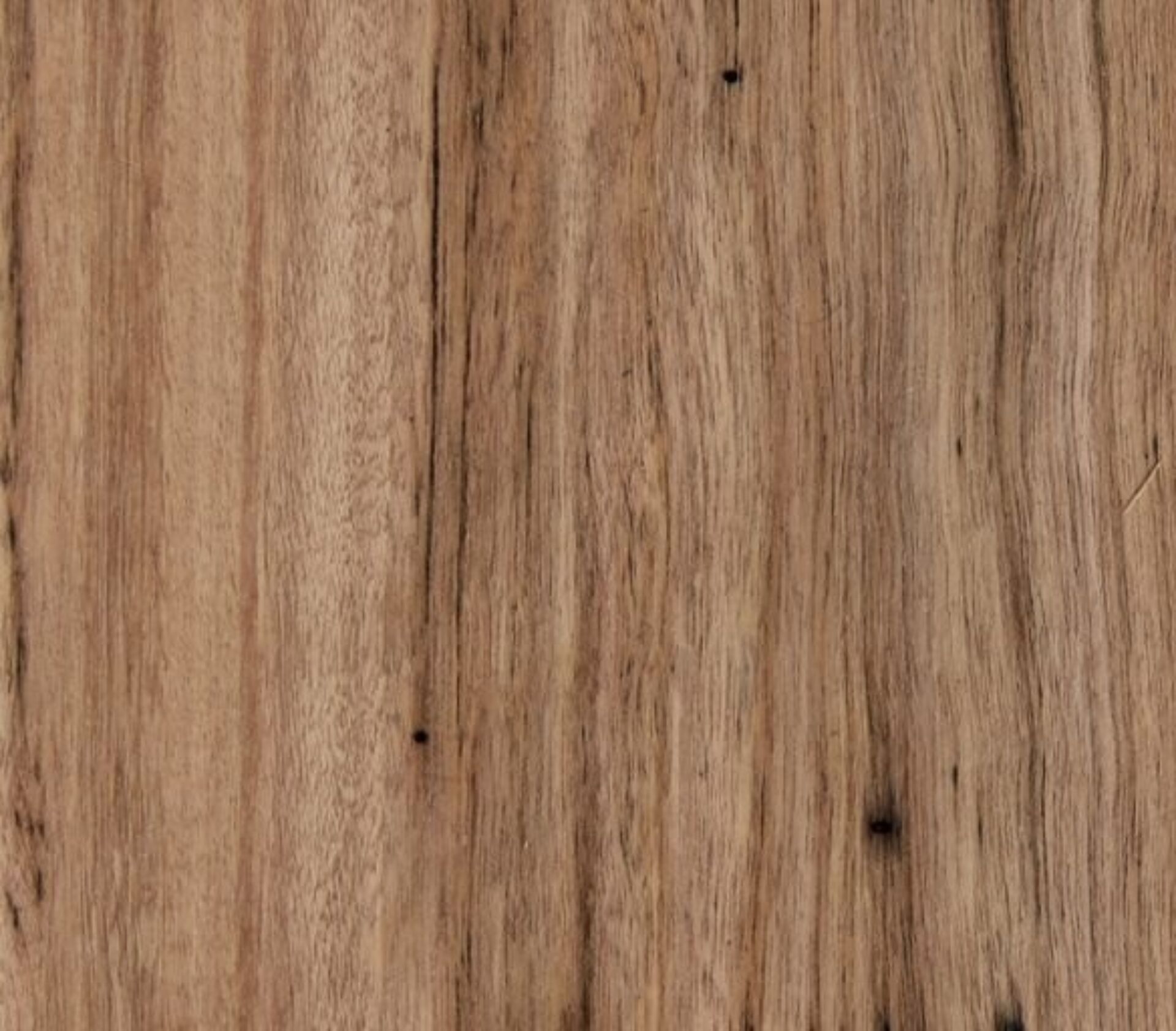 Wormy Chestnut QLD